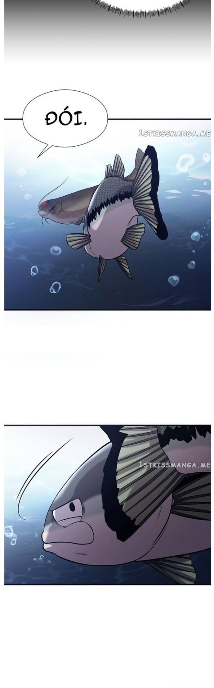 Hoá Thân Thành Cá Chap 40 - Next Chap 41