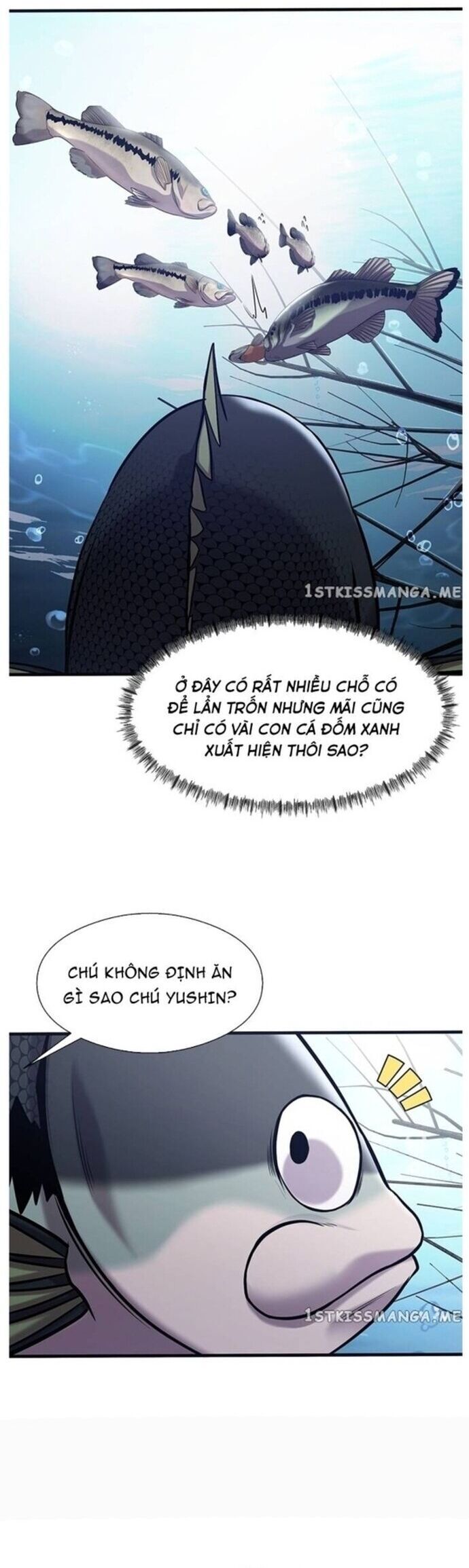 Hoá Thân Thành Cá Chap 40 - Next Chap 41