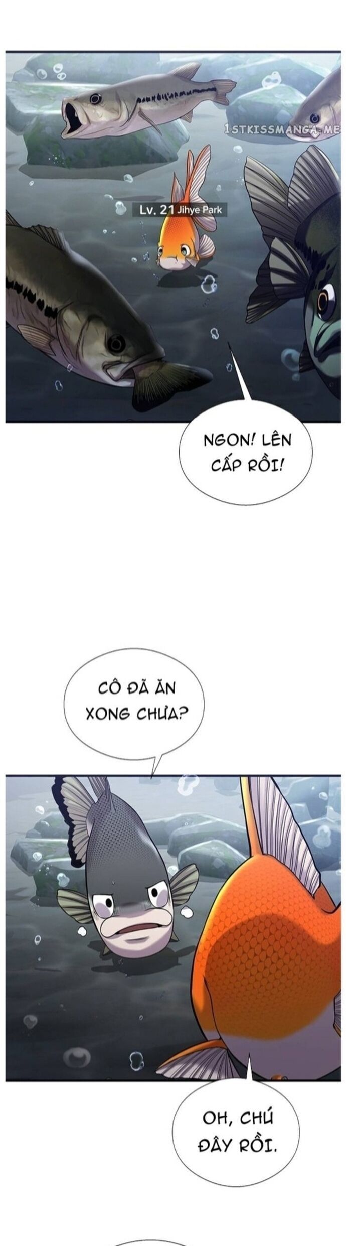 Hoá Thân Thành Cá Chap 40 - Next Chap 41