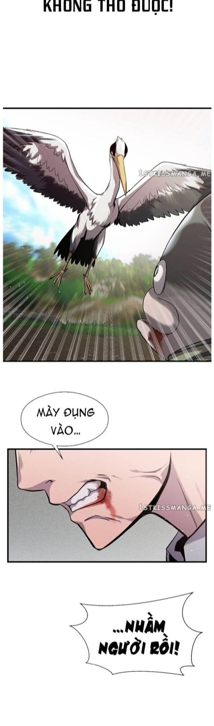 Hoá Thân Thành Cá Chap 40 - Next Chap 41