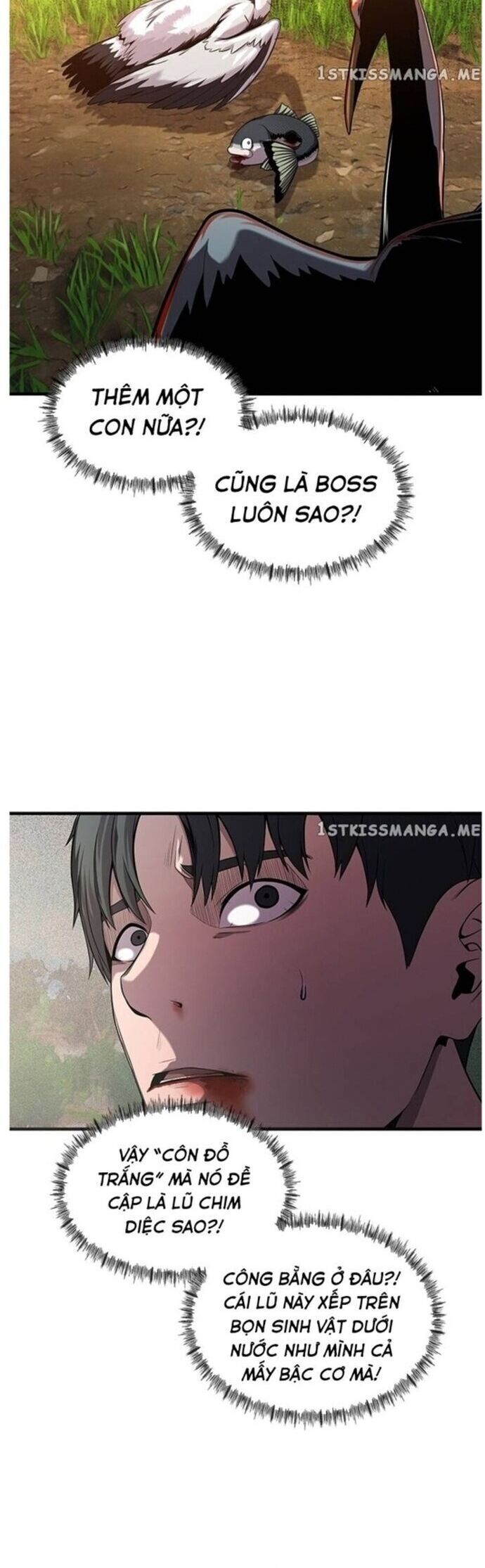 Hoá Thân Thành Cá Chap 41 - Next Chap 42