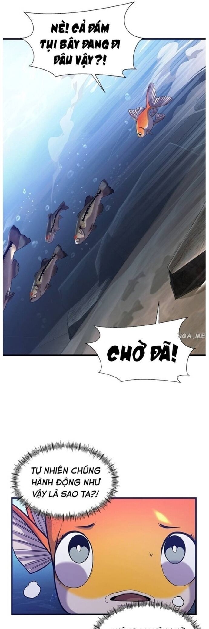 Hoá Thân Thành Cá Chap 41 - Next Chap 42