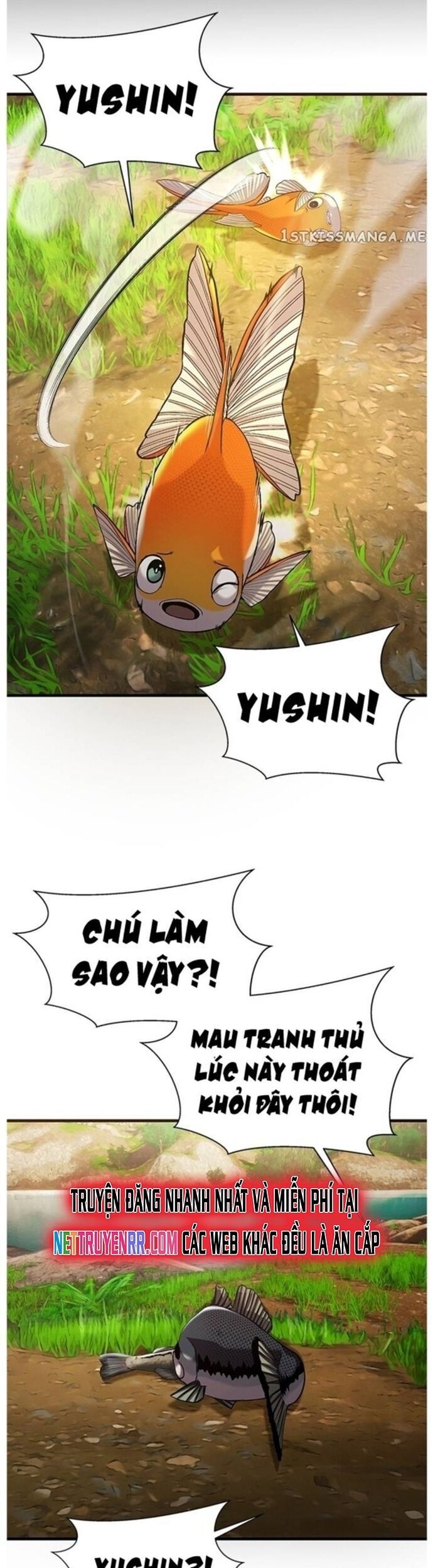 Hoá Thân Thành Cá Chap 42 - Next Chap 43