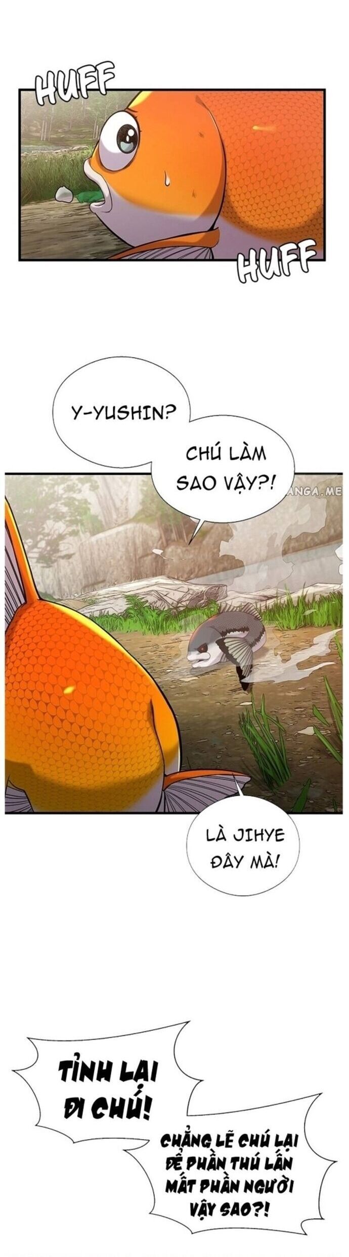 Hoá Thân Thành Cá Chap 43 - Next Chap 44