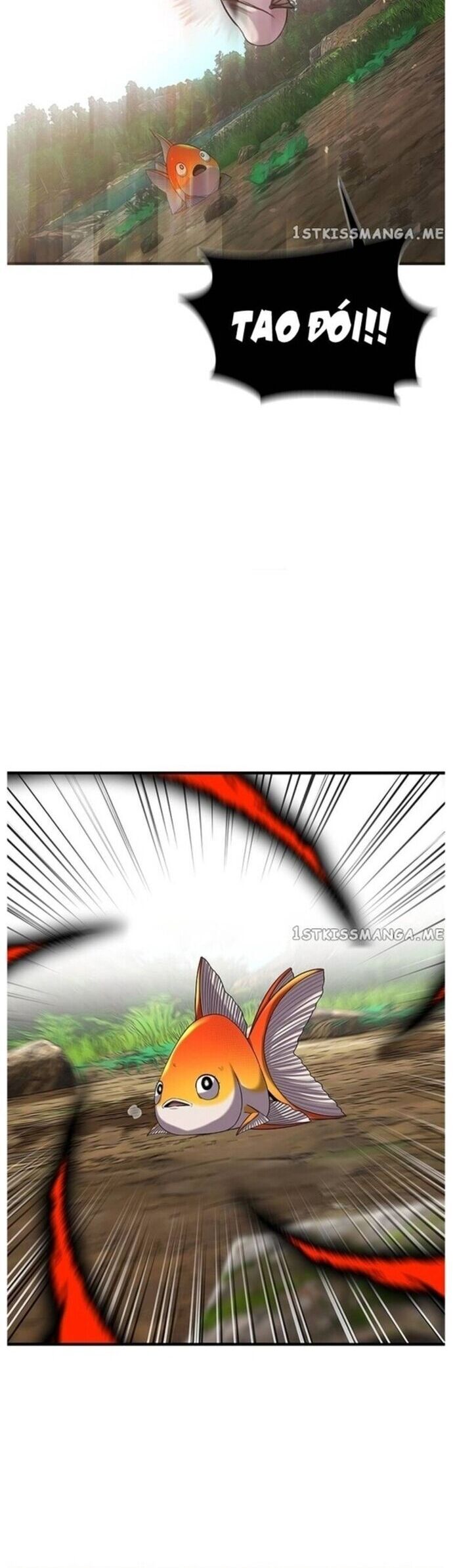 Hoá Thân Thành Cá Chap 43 - Next Chap 44