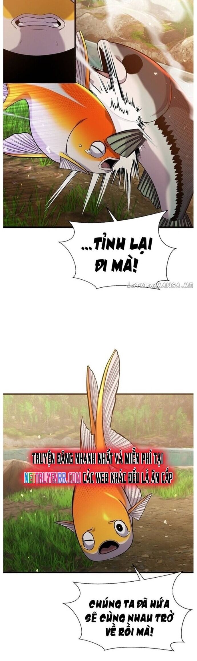 Hoá Thân Thành Cá Chap 43 - Next Chap 44