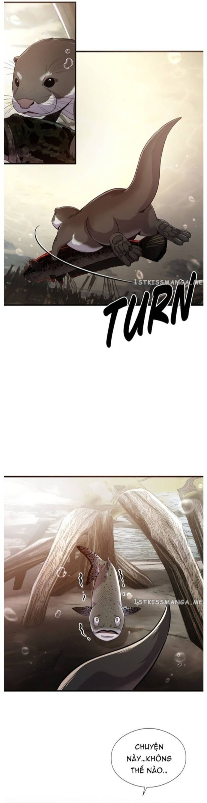 Hoá Thân Thành Cá Chap 43 - Next Chap 44