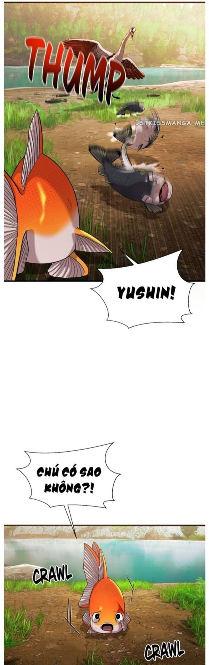 Hoá Thân Thành Cá Chap 44 - Next Chap 45