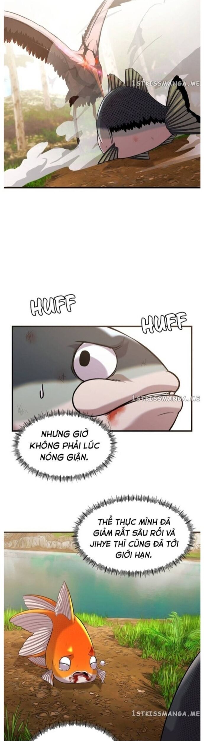 Hoá Thân Thành Cá Chap 44 - Next Chap 45