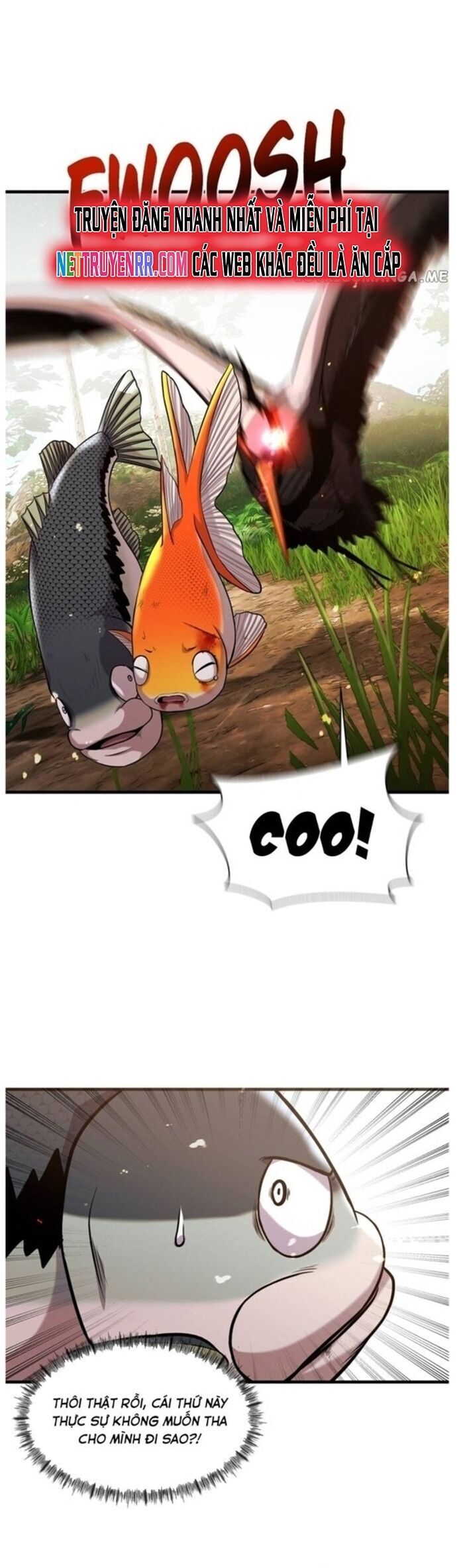 Hoá Thân Thành Cá Chap 44 - Next Chap 45