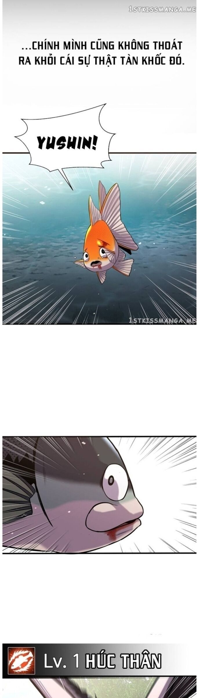 Hoá Thân Thành Cá Chap 44 - Next Chap 45