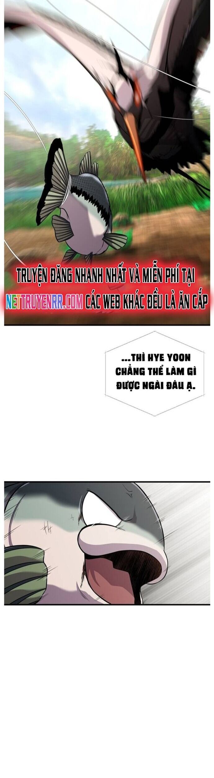 Hoá Thân Thành Cá Chap 45 - Next Chap 46