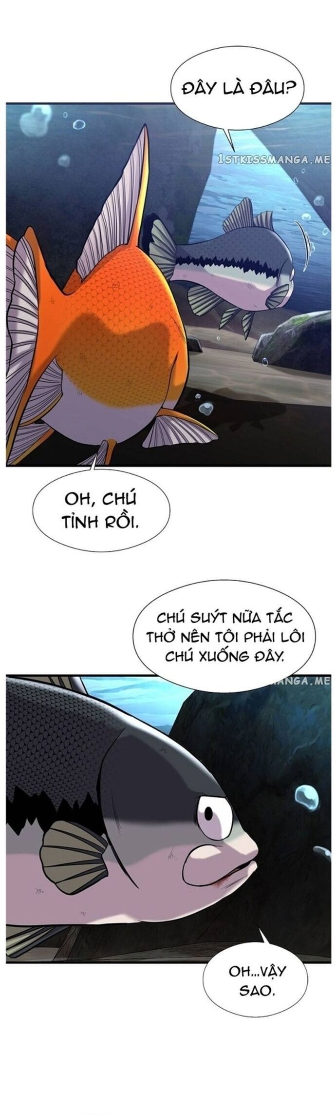 Hoá Thân Thành Cá Chap 46 - Next Chap 47