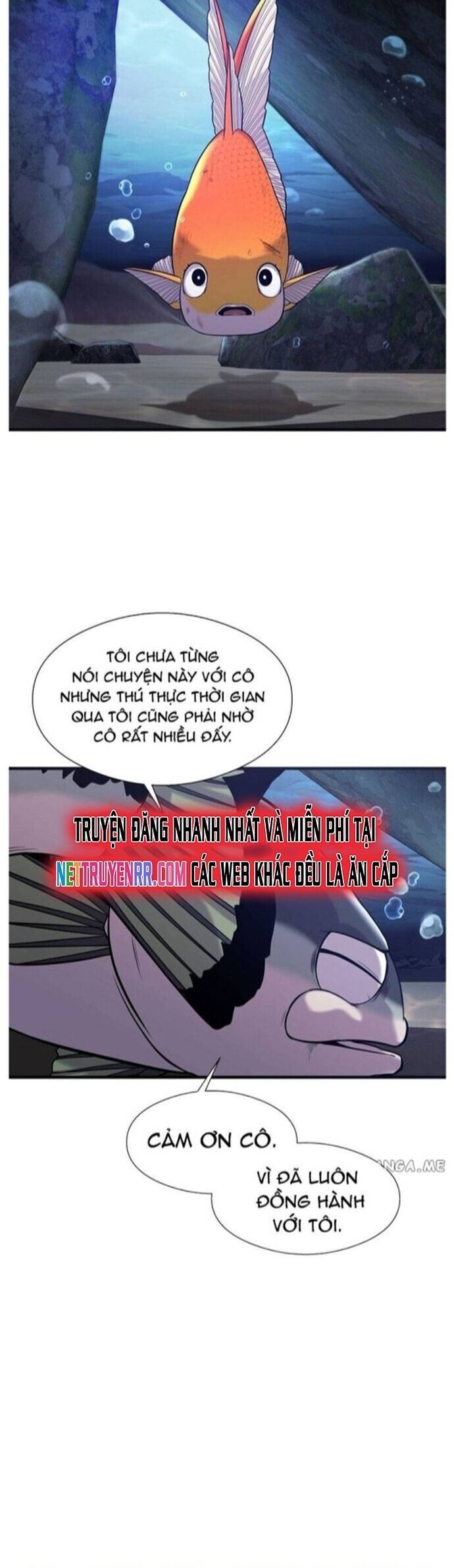 Hoá Thân Thành Cá Chap 46 - Next Chap 47