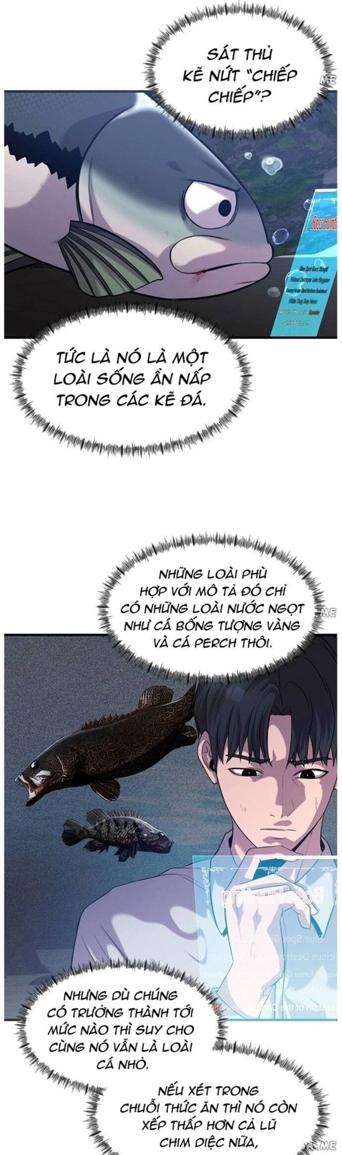 Hoá Thân Thành Cá Chap 47 - Next Chap 48