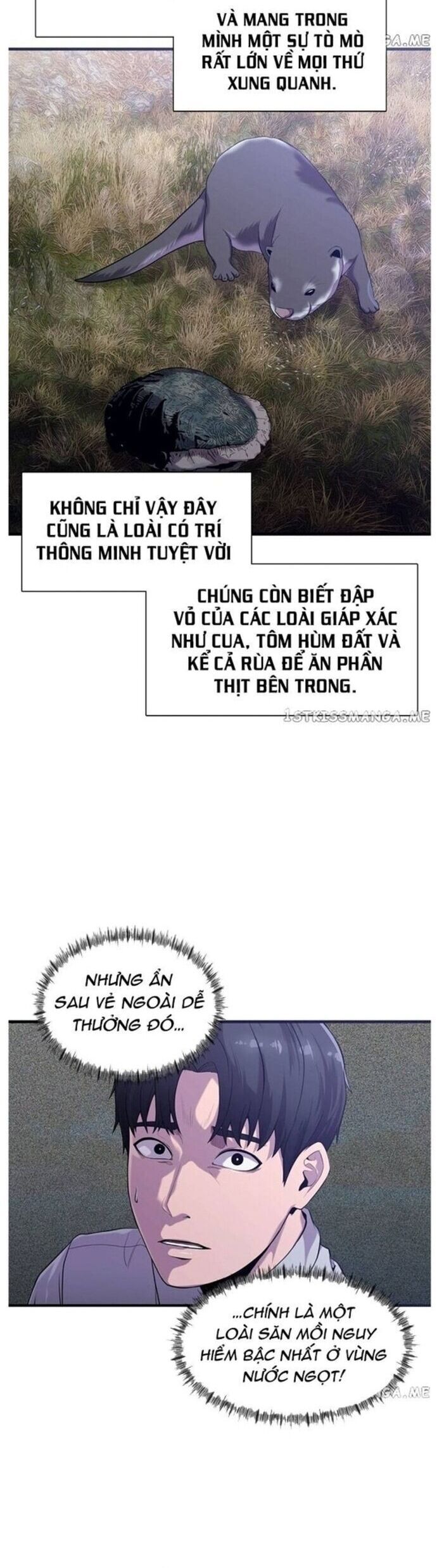 Hoá Thân Thành Cá Chap 48 - Next Chap 49
