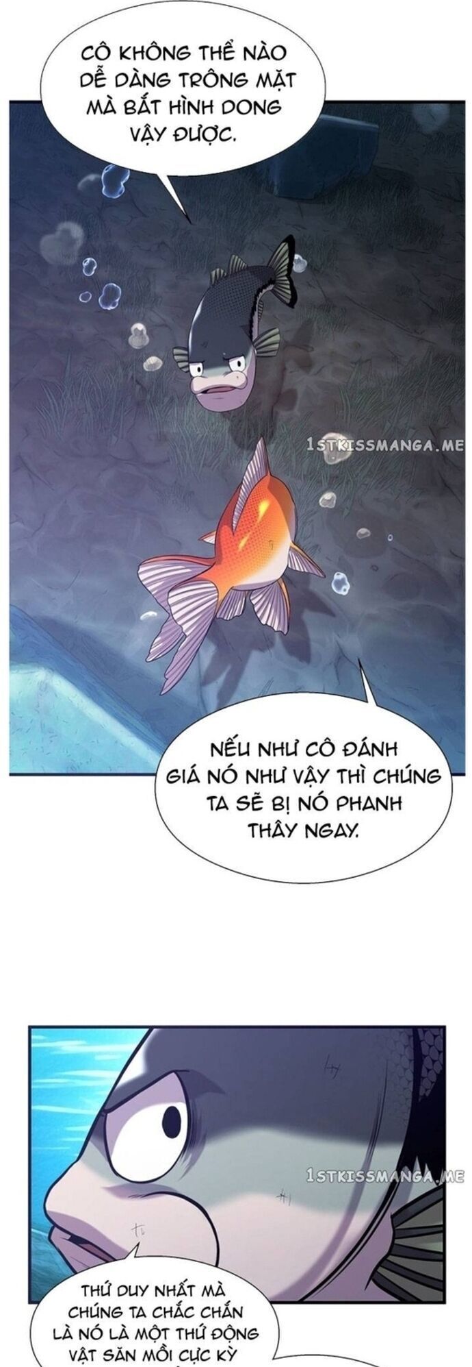 Hoá Thân Thành Cá Chap 48 - Next Chap 49
