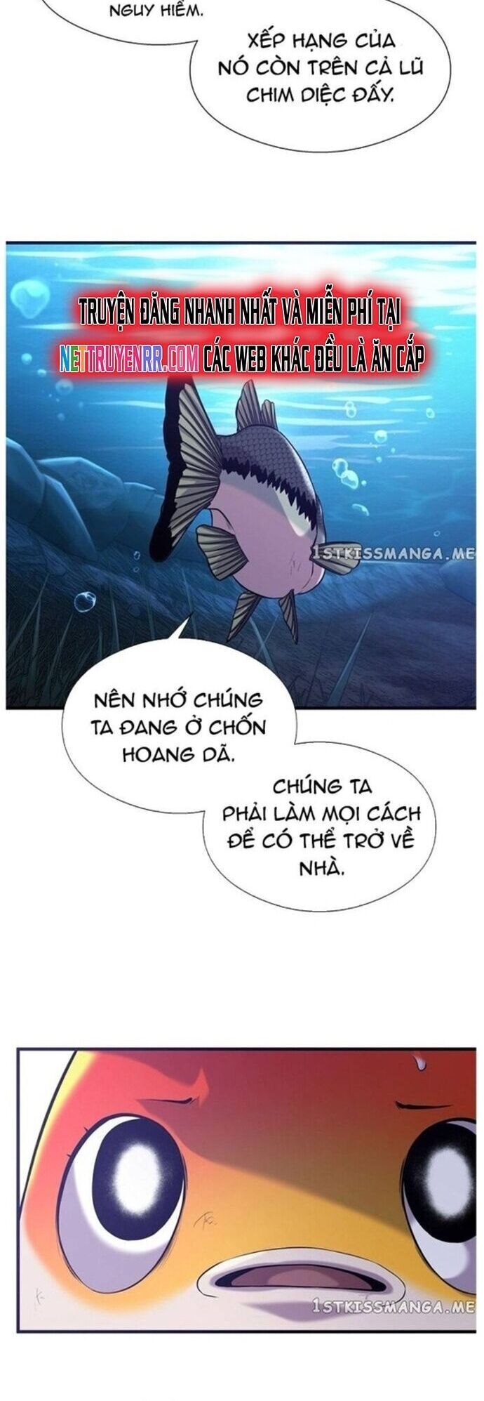 Hoá Thân Thành Cá Chap 48 - Next Chap 49