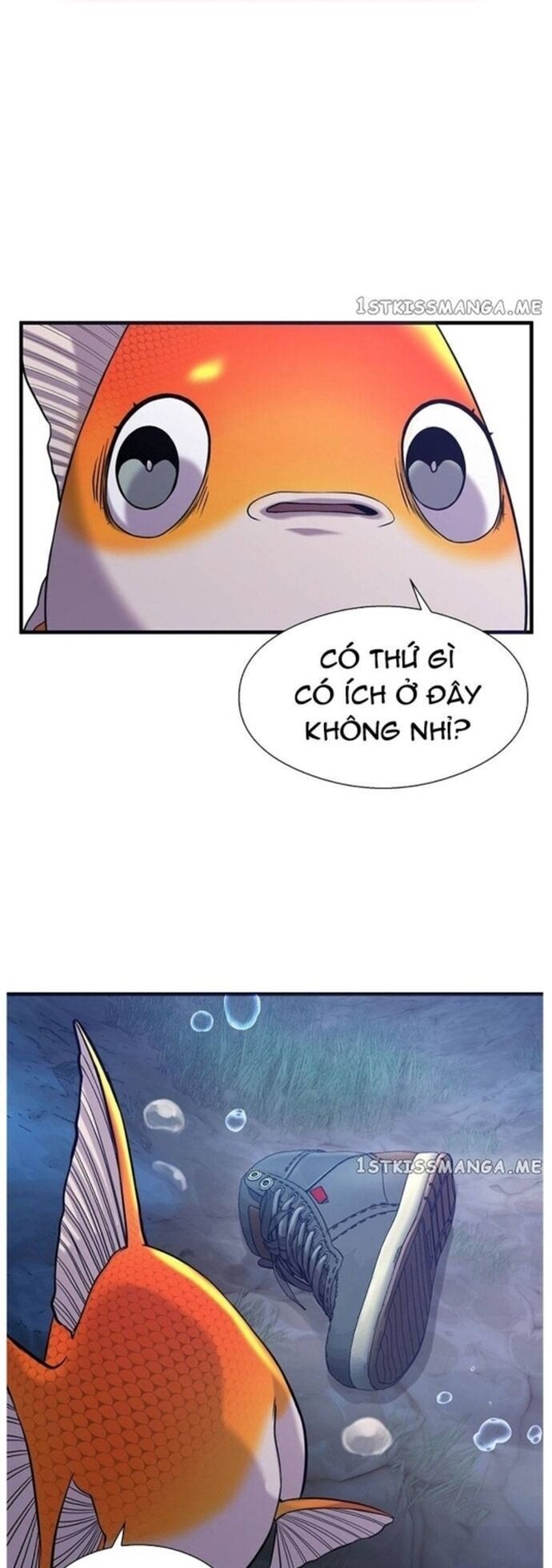 Hoá Thân Thành Cá Chap 48 - Next Chap 49