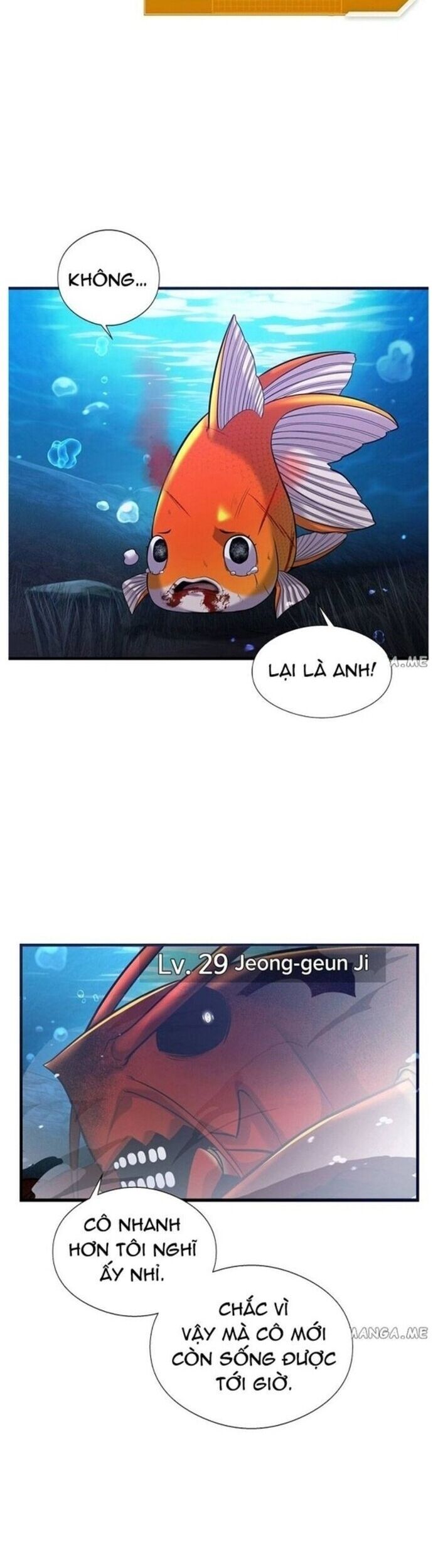 Hoá Thân Thành Cá Chap 49 - Next Chap 50