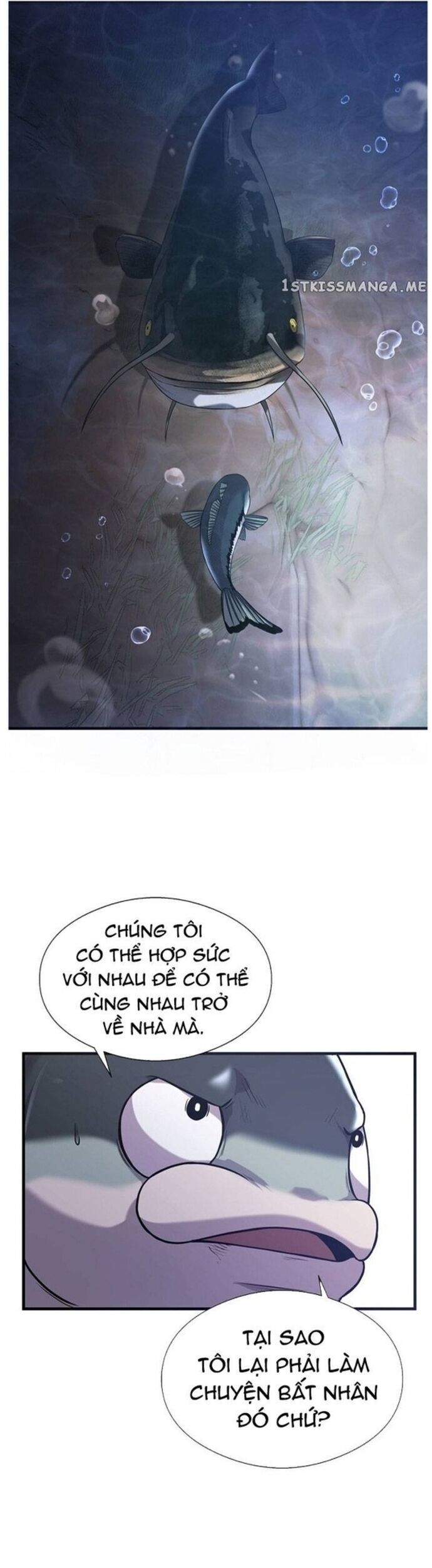 Hoá Thân Thành Cá Chap 49 - Next Chap 50