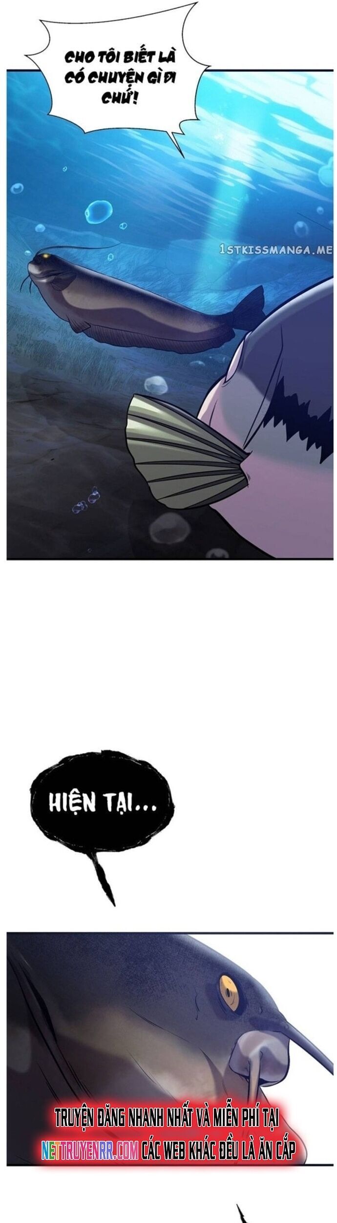 Hoá Thân Thành Cá Chap 49 - Next Chap 50