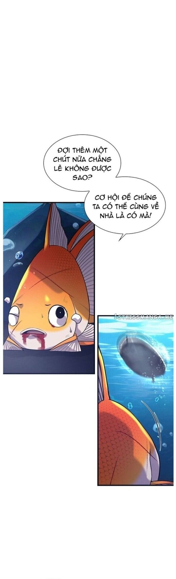Hoá Thân Thành Cá Chap 49 - Next Chap 50