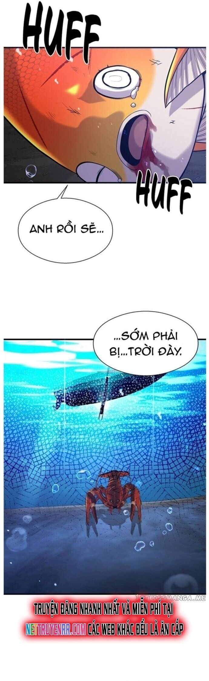 Hoá Thân Thành Cá Chap 49 - Next Chap 50