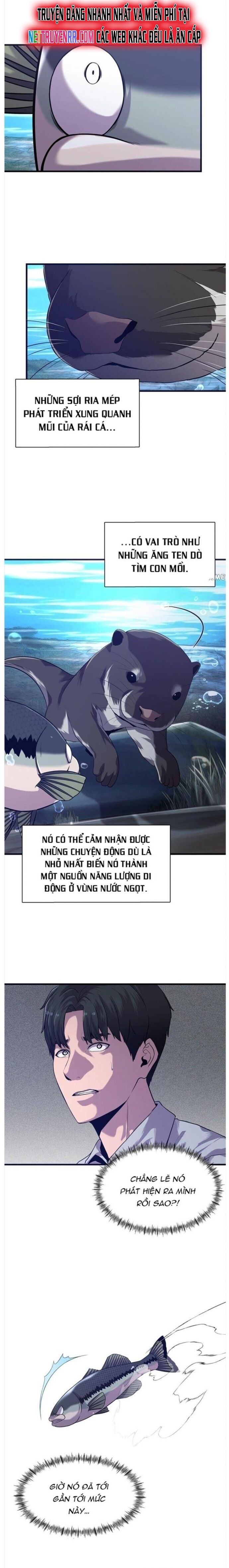 Hoá Thân Thành Cá Chap 50 - Next Chap 51