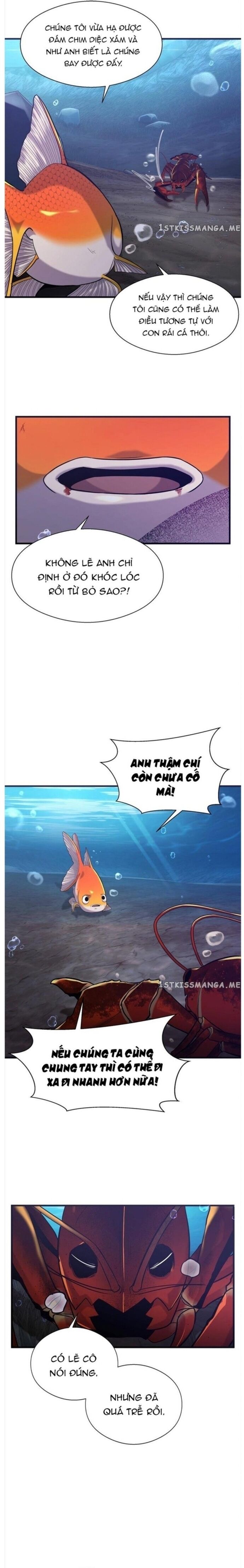 Hoá Thân Thành Cá Chap 50 - Next Chap 51