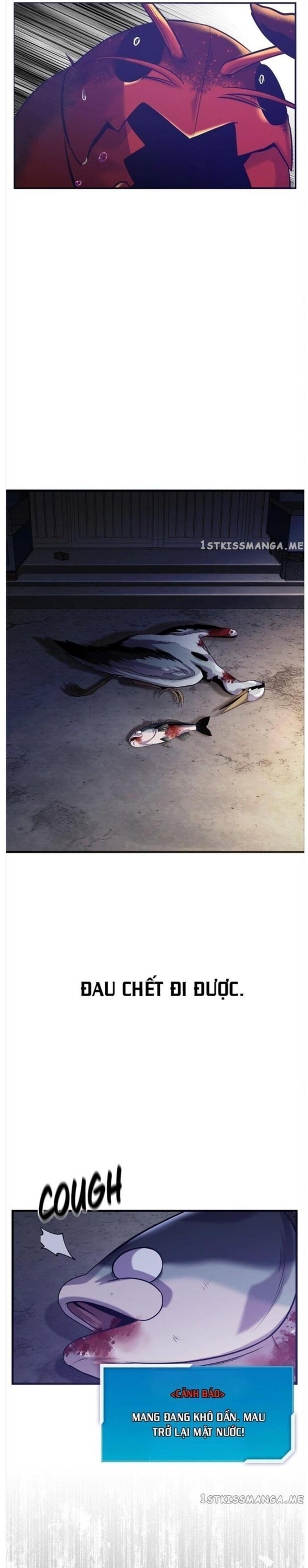 Hoá Thân Thành Cá Chap 50 - Next Chap 51