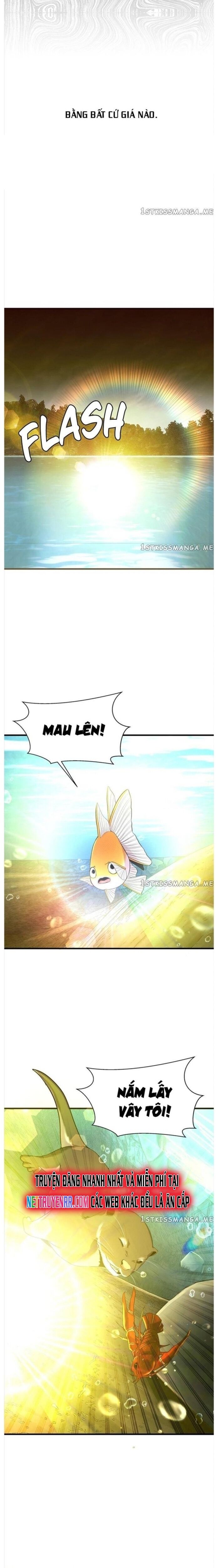 Hoá Thân Thành Cá Chap 50 - Next Chap 51
