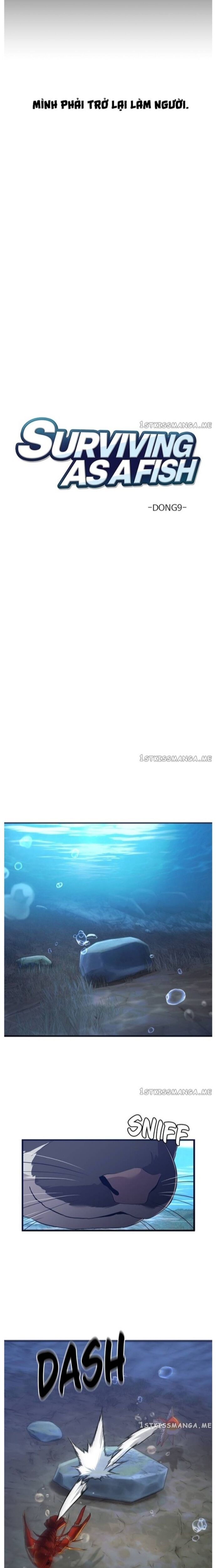 Hoá Thân Thành Cá Chap 51 - Next Chap 52