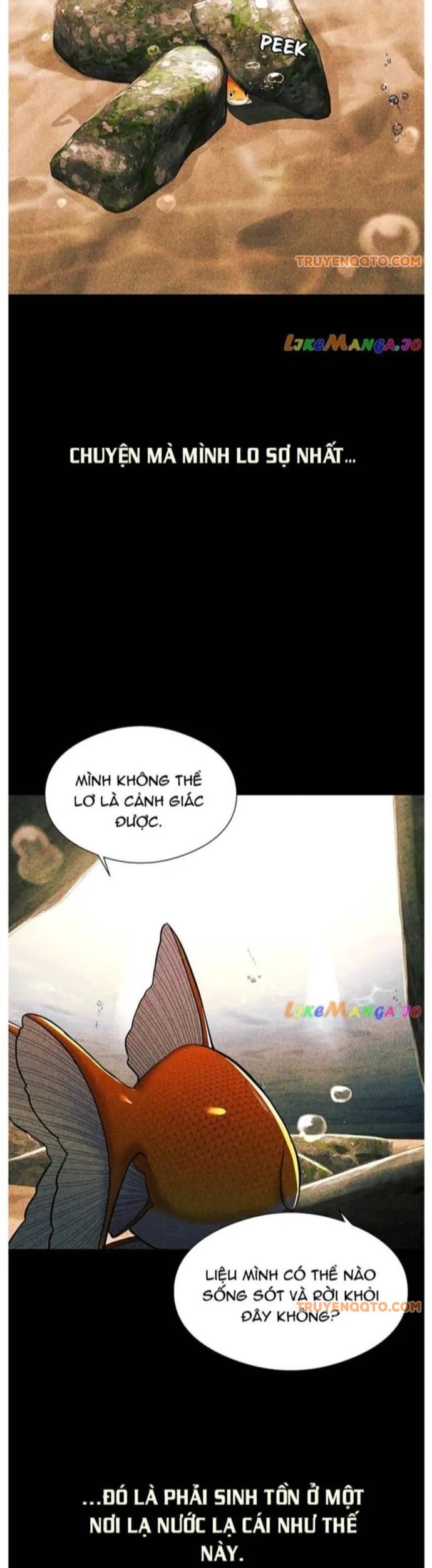 Hoá Thân Thành Cá Chap 56 - Next Chap 57