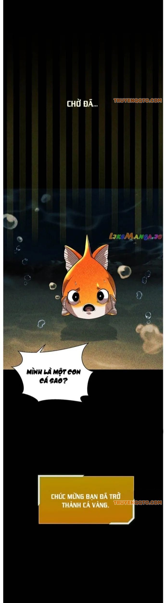 Hoá Thân Thành Cá Chap 56 - Next Chap 57