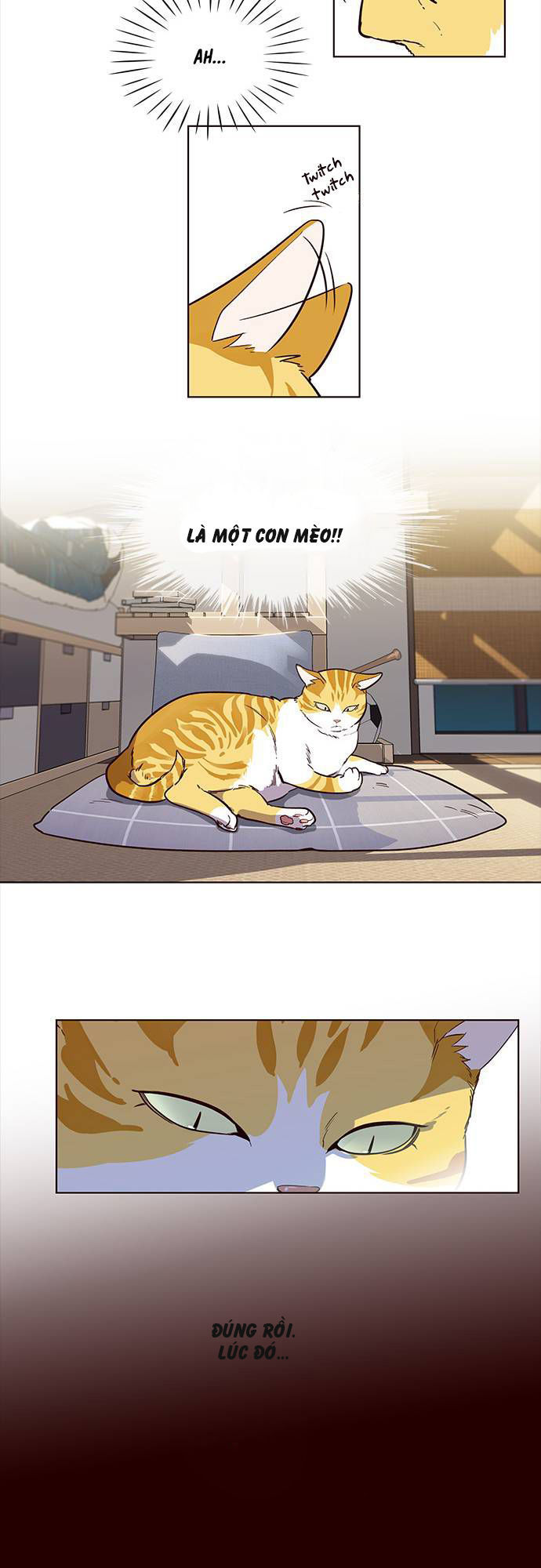 Hoá Thân Thành Mèo Chap 1 - Next Chap 2