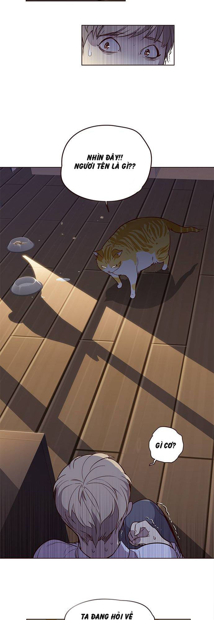 Hoá Thân Thành Mèo Chap 1 - Next Chap 2