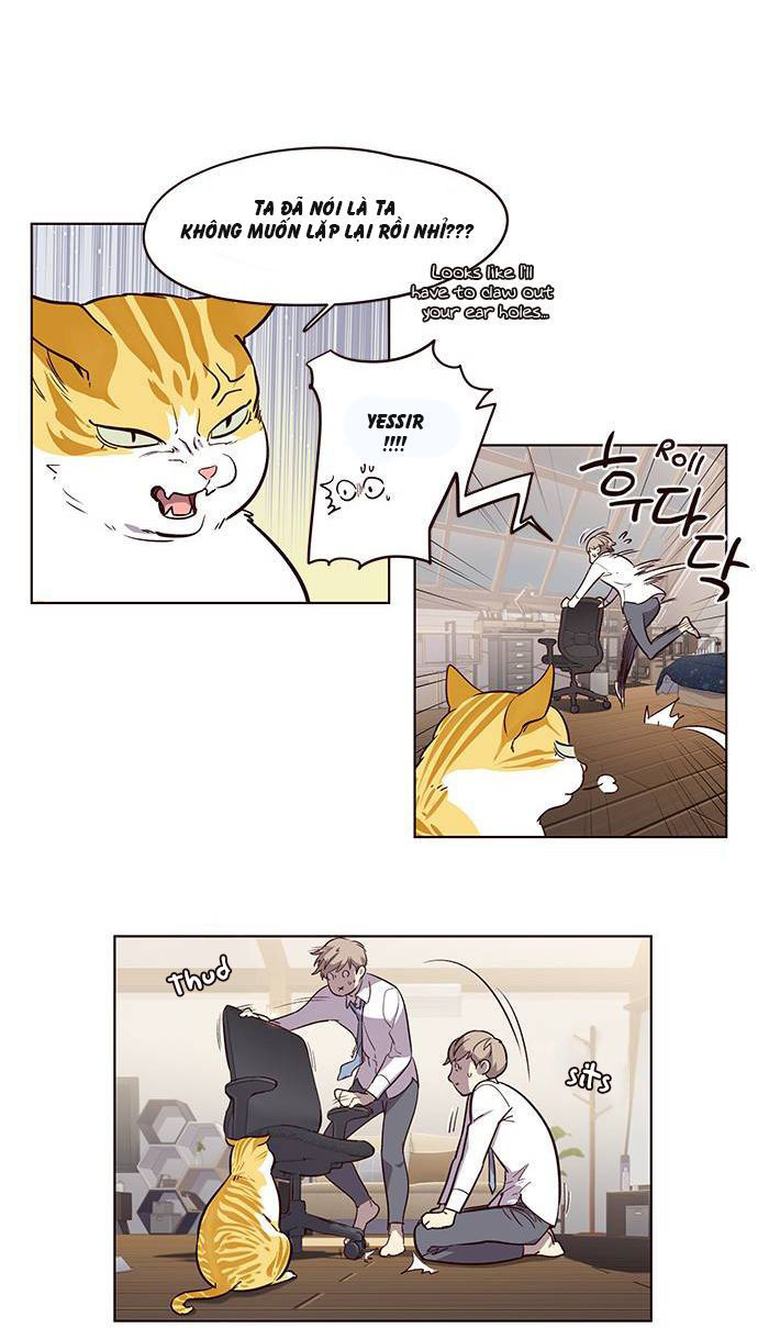 Hoá Thân Thành Mèo Chap 1 - Next Chap 2