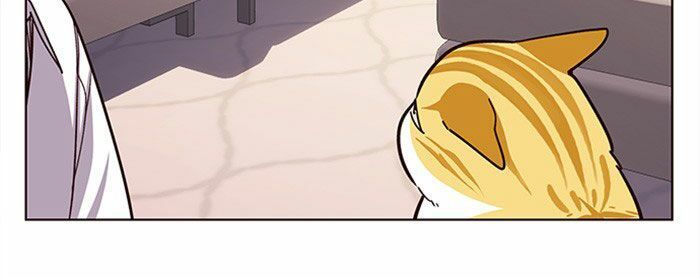 Hoá Thân Thành Mèo Chap 10 - Next Chap 11