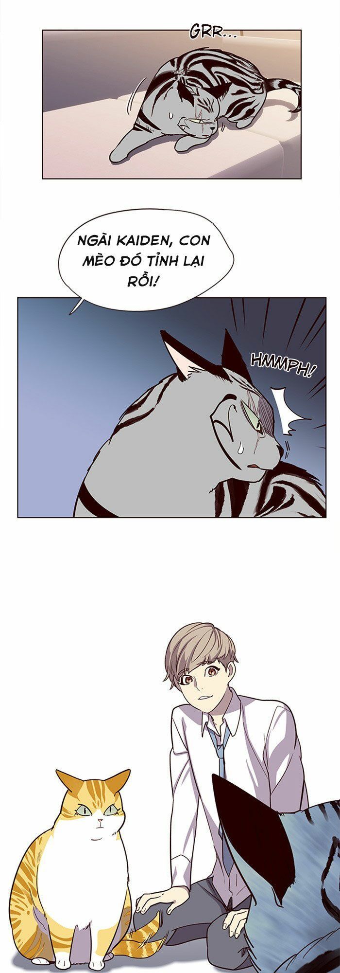 Hoá Thân Thành Mèo Chap 10 - Next Chap 11
