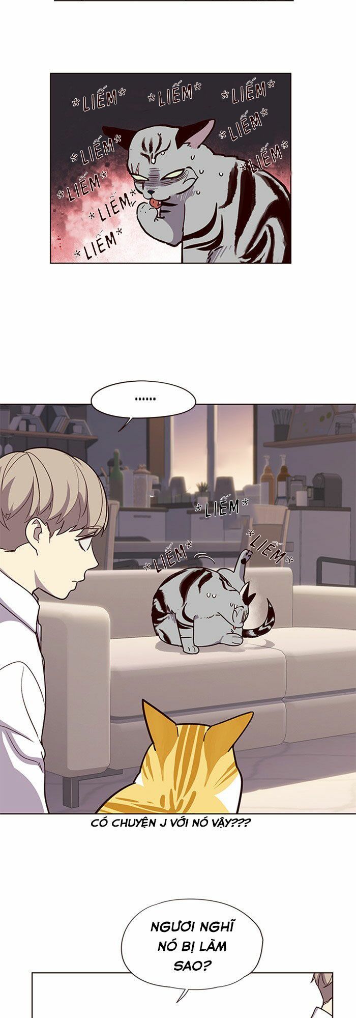 Hoá Thân Thành Mèo Chap 10 - Next Chap 11