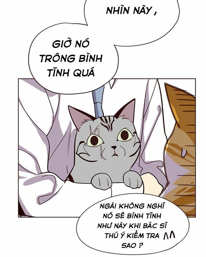 Hoá Thân Thành Mèo Chap 10 - Next Chap 11