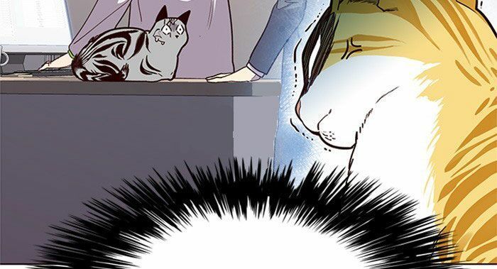 Hoá Thân Thành Mèo Chap 10 - Next Chap 11