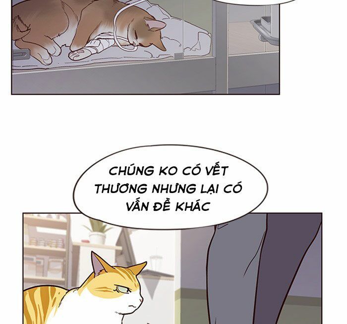 Hoá Thân Thành Mèo Chap 10 - Next Chap 11