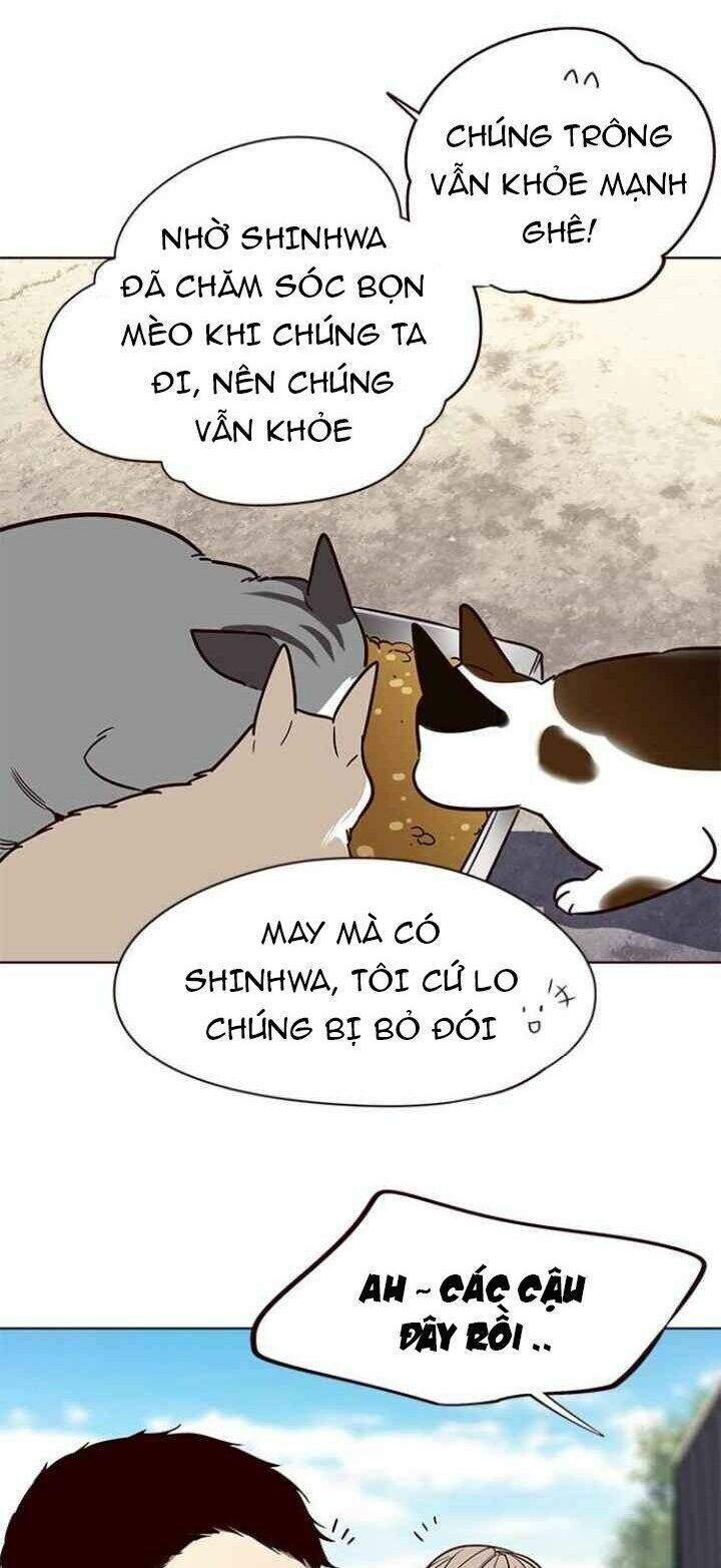 Hoá Thân Thành Mèo Chap 100 - Next Chap 101