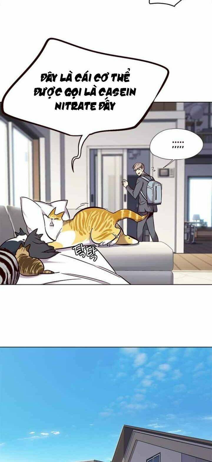 Hoá Thân Thành Mèo Chap 100 - Next Chap 101