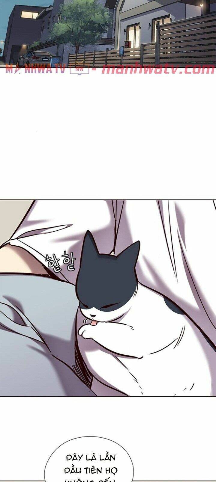 Hoá Thân Thành Mèo Chap 104 - Next Chap 105