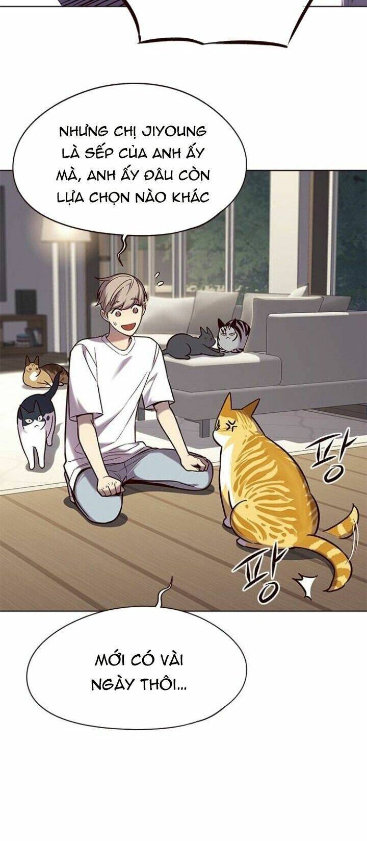 Hoá Thân Thành Mèo Chap 105 - Next Chap 106