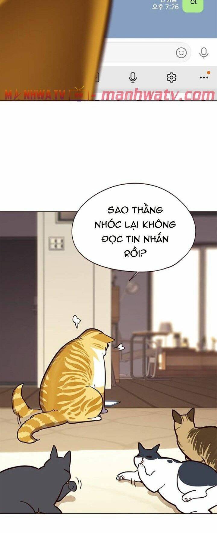 Hoá Thân Thành Mèo Chap 106 - Next Chap 107