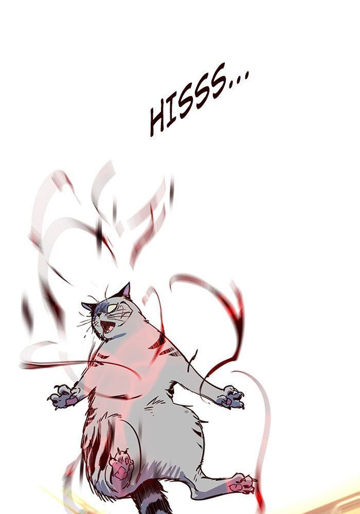 Hoá Thân Thành Mèo Chap 11 - Next Chap 12